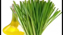 Lemongrass Oil Health Benefits  the Hair,Skin, and Side Effects of Lemongrass Oil
