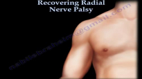 Radial Nerve Palsy ,Recovering . Part II Everything You Need To Know  Dr. Nabil Ebraheim