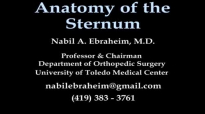 Anatomy Of The Sternum  Everything You Need To Know  Dr. Nabil Ebraheim