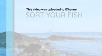 Sort Your Fish  Ed Lapiz