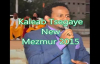 Kaleab Tsegaye New Mezmur 2015- Ene negn.mp4