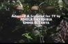 THINGS FALL APART [Season Two] 1987 Nigerian Movie.mp4
