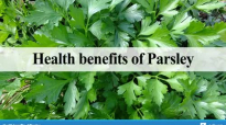 Health benefits of Parsley