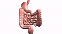 Important Health Benefits of Digestive Enzymes