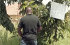 Kansiime the concerned citizen. African comedy.mp4