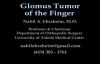 Glomus Tumor Of The Finger  Everything You Need To Know  Dr. Nabil Ebraheim