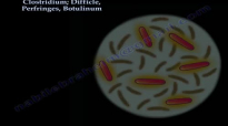 ClostridiumDifficle,Perfringes,Botulinum  Everything You Need To Know  Dr. Nabil Ebraheim