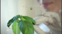 Folic Acid Supplement and Its BenefitsFolic Acid Hair