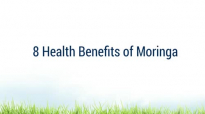 8 Health Benefits of Moringa Oleifera