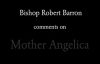 Bishop Barron on Mother Angelica.flv