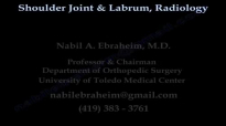 Shoulder Joint & Labrum Radiology  Everything You Need To Know  Dr. Nabil Ebraheim