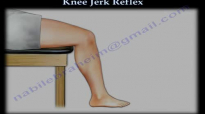 Knee Jerk Reflex  Everything You Need To Know  Dr. Nabil Ebraheim
