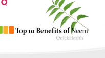 Top 10 Benefits of neem  Neem Benefits  Health
