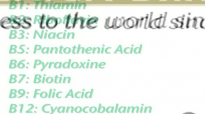 Sources and Benefits of Vitamin B1 or Thiamin