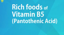 RICH FOODS OF VITAMIN B5 PANTOTHENIC ACID  GOOD FOOD GOOD HEALTH  BENEFITS OF WELLNESS