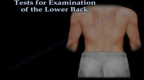Tests For Examination Of The Lower Back  Everything You Need To Know  Dr. Nabil Ebraheim