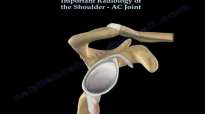 The Shoulder, AC JOINT radiology  Everything You Need To Know  Dr. Nabil