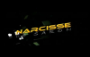 L'Agneau - Narcisse de Saron.mp4
