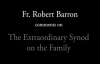 Fr. Barron on the Synod on the Family.flv