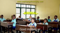 ANIMAL (Mark Angel Comedy) (Episode 206).mp4