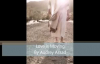 Love is Moving By Audrey Assad with Lyrics.flv