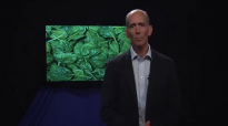 Dr. Mercola Discusses the Benefits of Magnesium