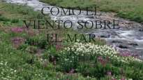 roberto orellana - como el viento sobre el mar.mp4
