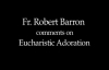 Fr. Barron comments on Eucharistic Adoration.flv