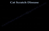 Cat Scratch fever  Everything You Need To Know  Dr. Nabil Ebraheim