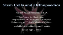 Stem Cells and Bone Healing  Everything You Need to Know  Dr. Nabil Ebraheim
