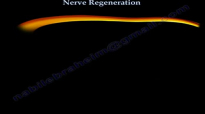 Nerve Regeneration  Everything You Need To Know  Dr. Nabil Ebraheim