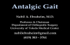 Antalgic Gait  Everything You Need To Know  Dr. Nabil Ebraheim