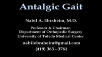 Antalgic Gait  Everything You Need To Know  Dr. Nabil Ebraheim
