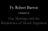 Bishop Barron on Gay Marriage & the Breakdown of Moral Argument.flv