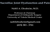 Sacroiliac Joint Dysfunction Animation  Everything You Need To Know  Dr. Nabil.D