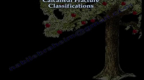 Calcaneal Fracture Classifications  Everything You Need To Know  Dr. Nabil Ebraheim