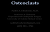Osteoclasts  Everything You Need To Know  Dr. Nabil Ebraheim