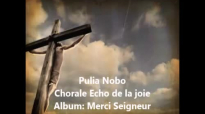 Pulia Nobo - Chorale Echo de la joie.mp4