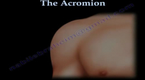 The Acromion Os Acromiale  Everything You Need To Know  Dr. Nabil Ebraheim