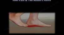 Heel Pain & The Baxters Nerve  Everything You Need To Know  Dr. Nabil Ebraheim