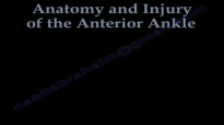 Ankle Pain Complete Overview  Everything You Need To Know  Dr. Nabil Ebraheim
