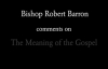Bishop Barron on The Meaning of the Gospel.flv