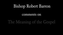 Bishop Barron on The Meaning of the Gospel.flv