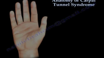 Anatomy of Carpal Tunnel Syndrome  Everything You Need To Know  Dr. Nabil Ebraheim