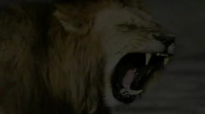 Charles Spurgeon Sermon  The Roaring Lion