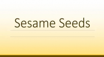 Sesame seeds Health Benefits  Health Benefits of Nuts and Seeds  Super Seeds and Nuts