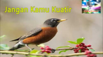 Jangan Kamu Kuatir - Khotbah Pdt Gilbert Lumoindong