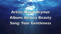 David Brymer_ Your Gentleness.flv