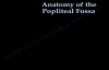 Anatomy Of The Popliteal Fossa  Everything You Need To Know  Dr. Nabil Ebraheim