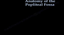 Anatomy Of The Popliteal Fossa  Everything You Need To Know  Dr. Nabil Ebraheim